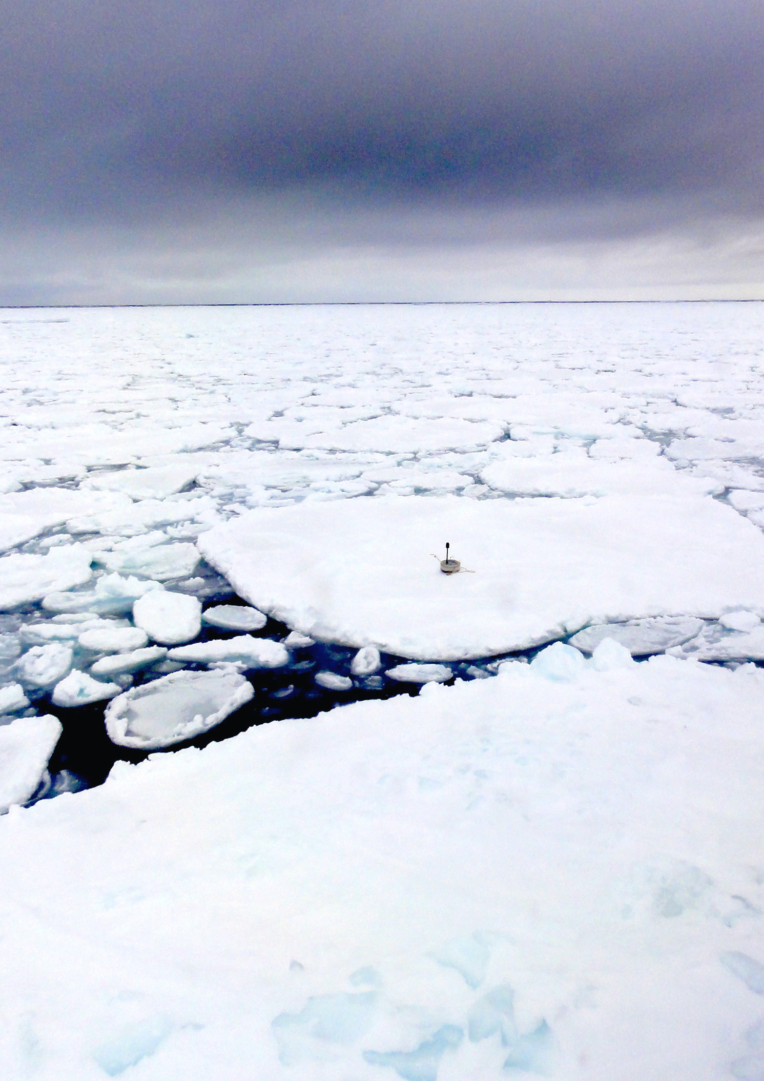 WIIOS on an ice floe